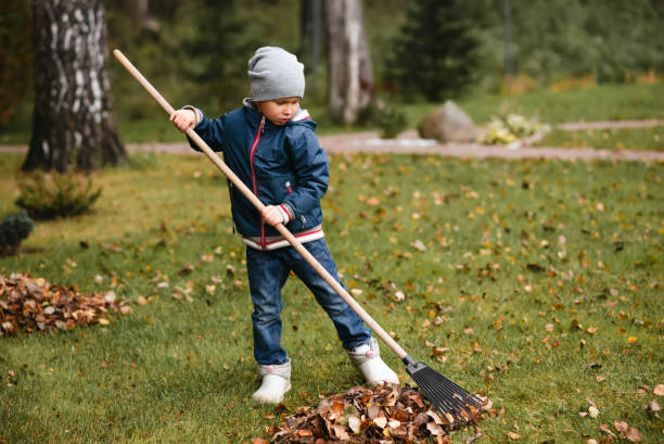 istock A little boy rakes fallen leaves in the backyard. 1682578442