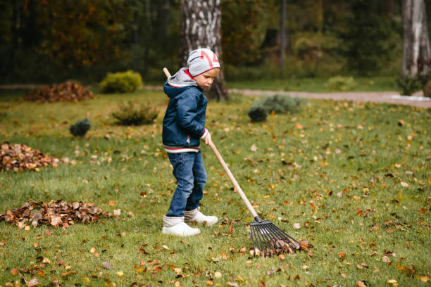 istock A little boy rakes fallen leaves in the backyard. 1682578446