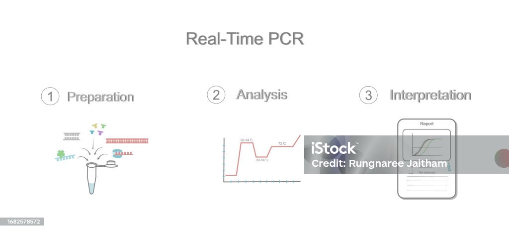 Introduction Real Time Pcr The Important Steps Of Realtime Polymerase Chain Reaction Stock ...