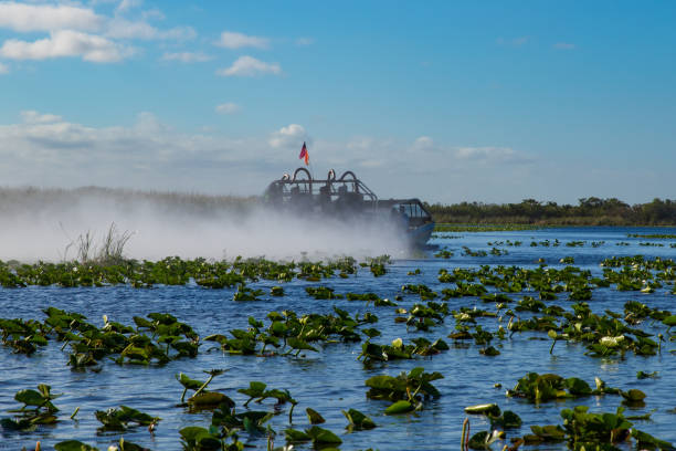 istock Airboat at Everglades National Park 1682579157