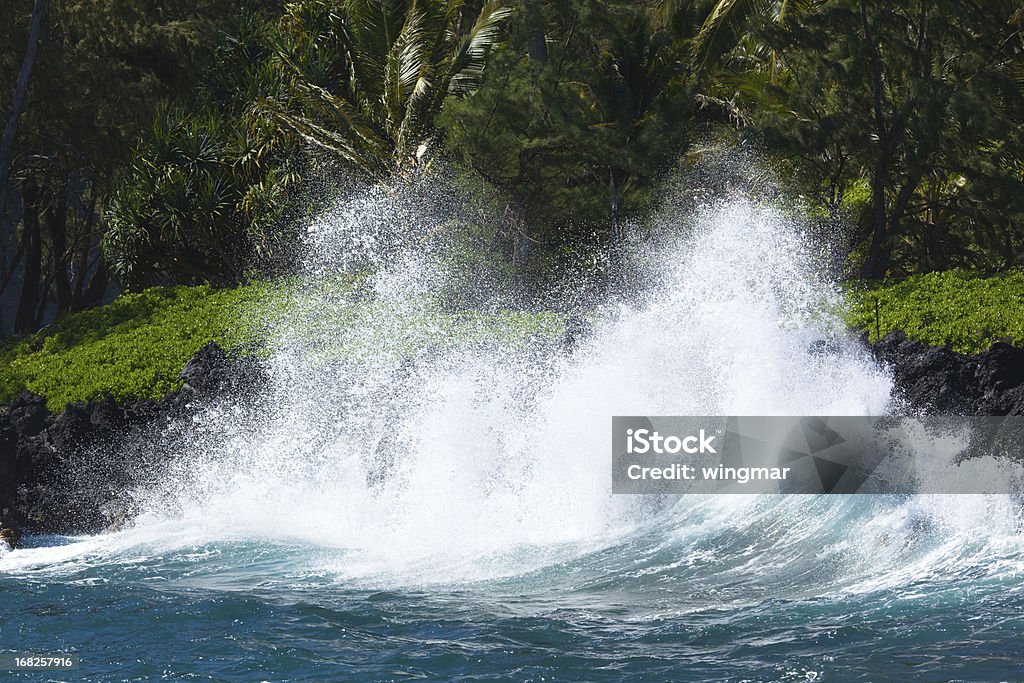 wild surf breaking on the coast of maui - hawaii wild surf breaking on the north coast of maui - hawaii Beauty In Nature Stock Photo