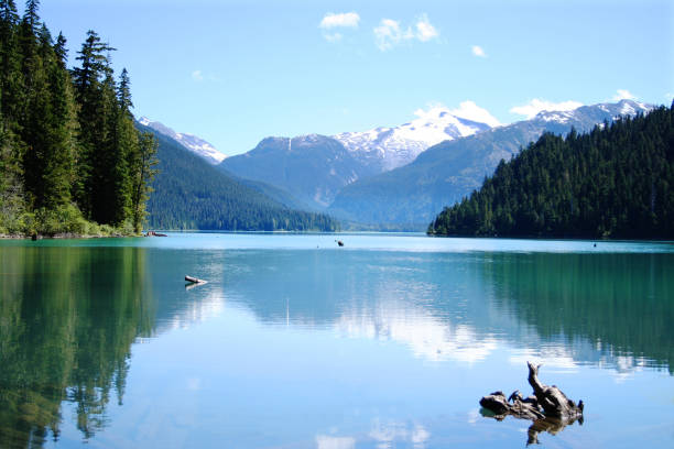 cheakamus lake - whistler britisch kolumbien stock-fotos und bilder