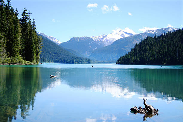 scenic photo of the calm cheakamus lake - 溫哥華 加拿大 個照片及圖片檔
