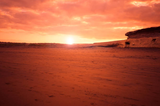 istock Gold sunset in El Medano Desert beach - Tenerife 168258085