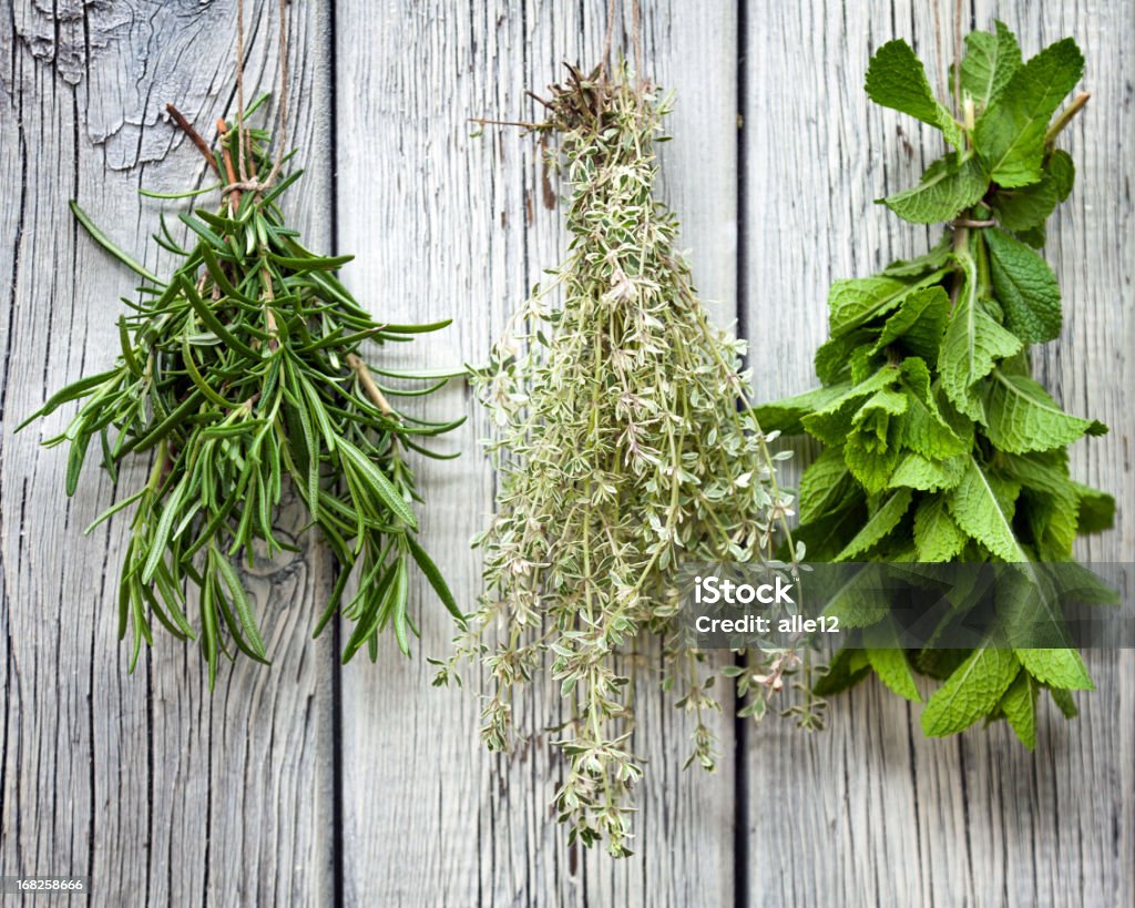 Herbes aromatiques - Photo de Sécher - Activité libre de droits