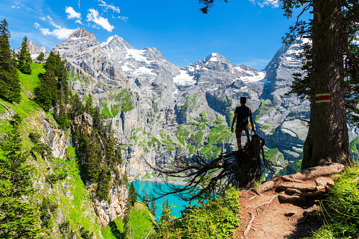 Hiker among trees looking at the view of Oeschinensee, Bernese Oberland, Kandersteg, Canton of Bern, Switzerland