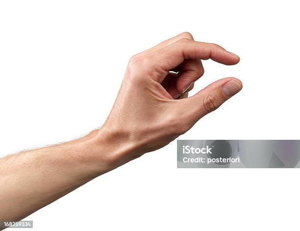 Human Hand Stock Photo - Download Image Now - Small, Hand Sign, Human Hand