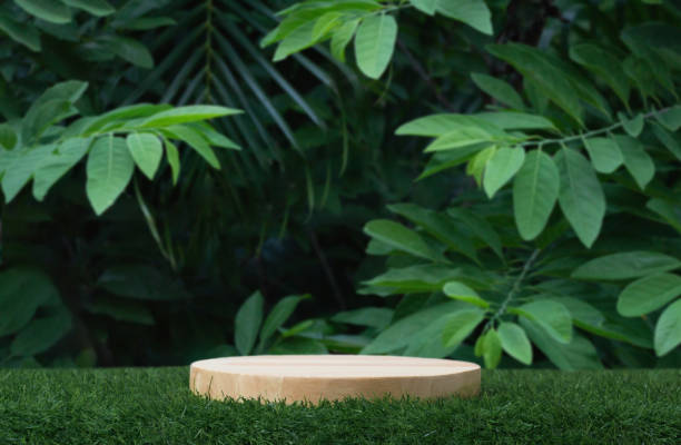 istock Minimal podium table top outdoors blur green leaf tropical forest plant background.beauty cosmetic healthy natural product placement pedestal display,spring or summer jungle paradise concept. 1682598383