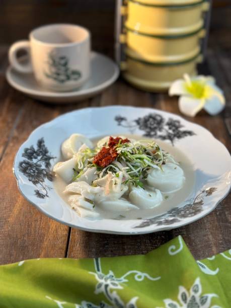 laksam lub płaski ryż i specjalny makaron w sosie rybnym z sosem kokosowym i rybami. podawany z pastą chili i świeżymi warzywami jako przyprawą. popularne tradycyjne jedzenie w kelantan, malezja - kipper dill prepared fish food zdjęcia i obrazy z banku zdjęć