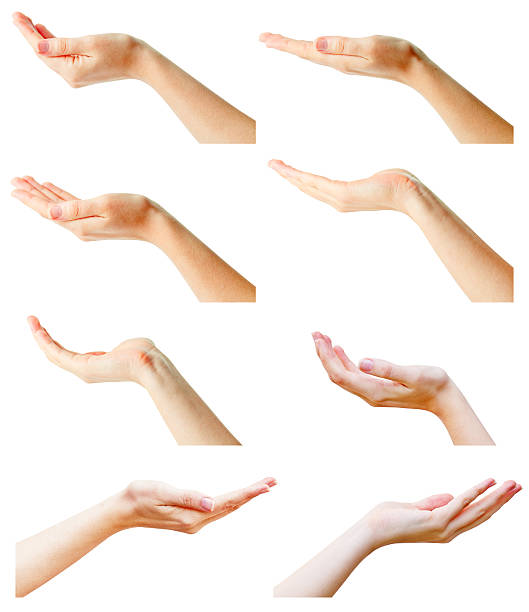female hands collection female hands isolated on white hands cupped stock pictures, royalty-free photos & images