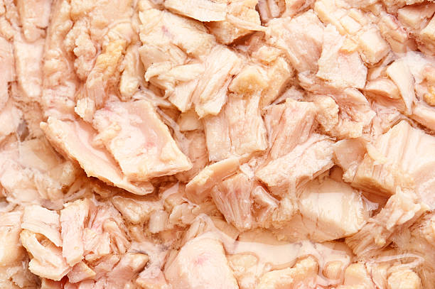 chunks of white meat tuna in olive oil background