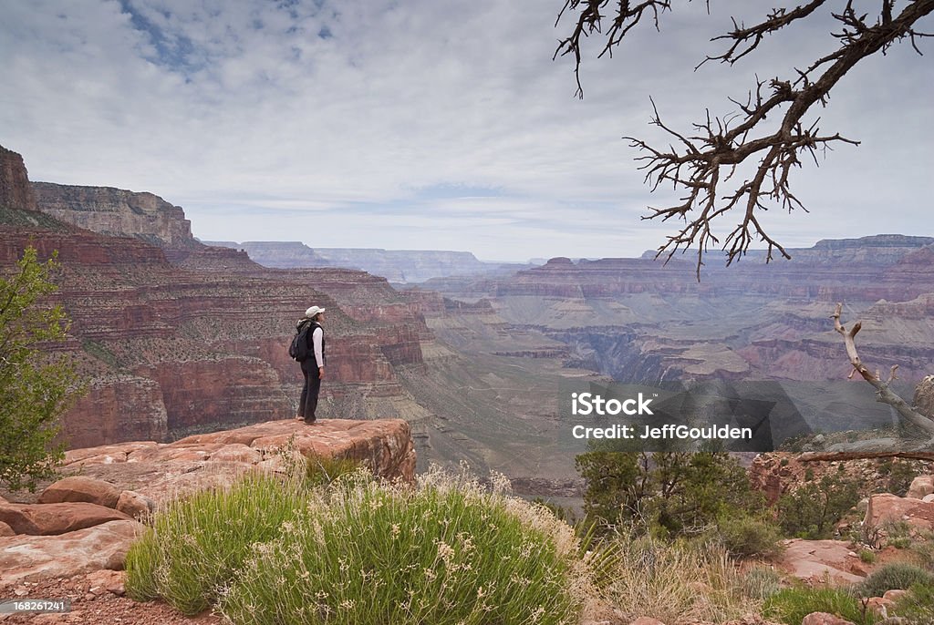 Young Woman Hiker Standing on the Canyon Rim A young woman hiker is standing on the canyon rim near O'Neil Butte in Grand Canyon National Park, Arizona, USA. Flagstaff - Arizona Stock Photo