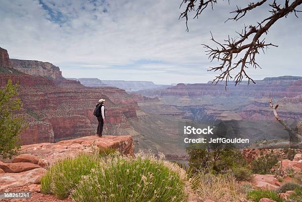 Young Woman Hiker Standing On The Canyon Rim Stock Photo - Download Image Now - Flagstaff - Arizona, Arizona, Grand Canyon