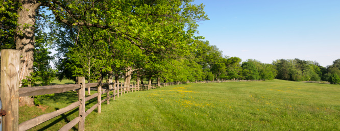 A panorama of a farm field and fence in spring.