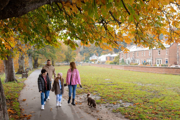istock Building a Climate-Resilient Town: Strategies and Solutions 1682625341