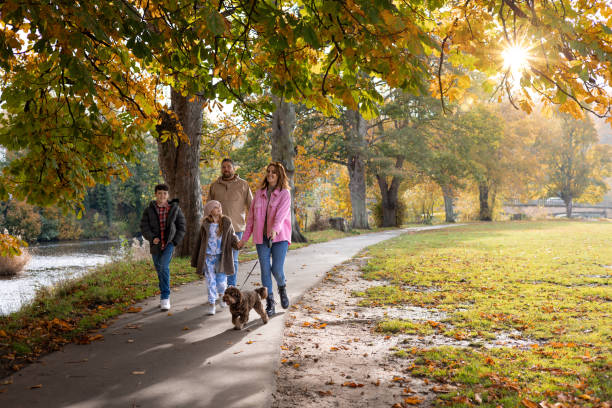 istock Sustainable Towns: A Blueprint for Climate-Resilient Communities 1682625880