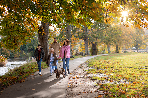 Full shot of a family with two children and a dog. They are wearing warm clothing in a park surrounded by autumnal colours and walking together along a footpath.