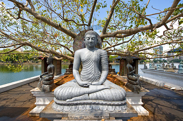 statua del buddha in grande albero - budda foto e immagini stock