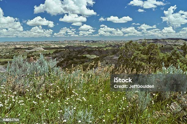 Badland Wiese Und Wildblumen Stockfoto und mehr Bilder von Wüsten-Beifuß - Wüsten-Beifuß, Ebene, North Dakota