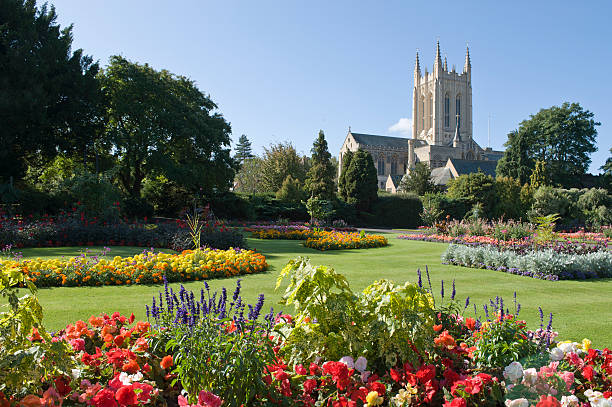 Bury St Edmunds Cathedral and Abbey Gardens Bury St Edmunds Cathedral seen from Abbey Gardens full of formal colourful flower beds suffolk england stock pictures, royalty-free photos & images