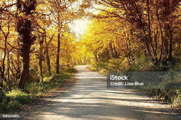 Pfad In Der Landschaft Stockfoto und mehr Bilder von Autoreise - Autoreise, Baum, Beleuchtet