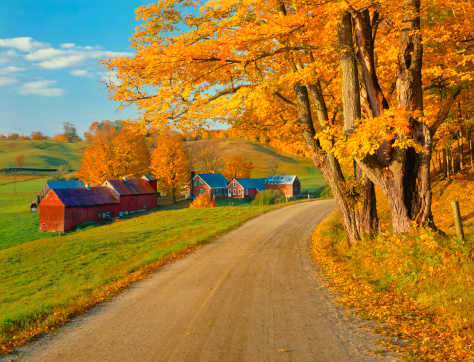 The last afternoon light cast a warm glow on the Autumn country side of Vermont