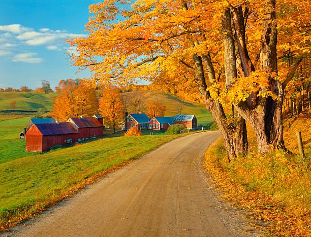 осенний страна стороны в вермонте - autumn landscape usa country road стоковые фото и изображения