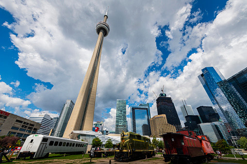 Toronto, Canada - October 15, 2013: View of red maple tree and CN Tower in autumn on October 15, 2013 in Toronto. 