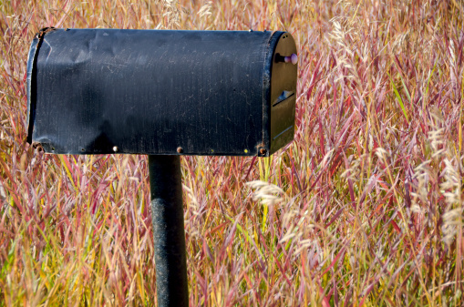 A rural black mailbox with autumn colors. Copy space on the mailbox.