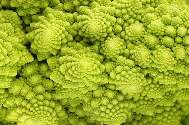 римская цветная капуста - romanesco broccoli стоковые фото и изображения