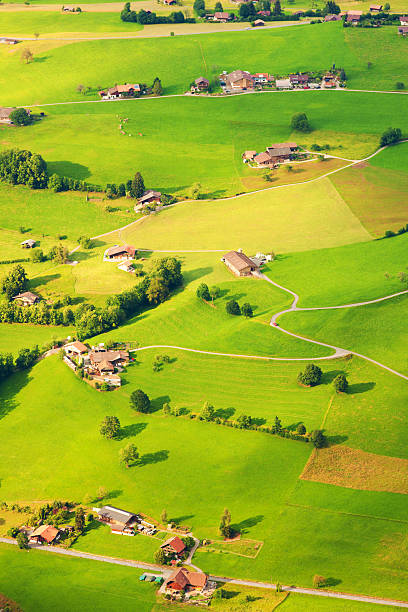 vista aérea da suíça - thun aerial view switzerland tree - fotografias e filmes do acervo