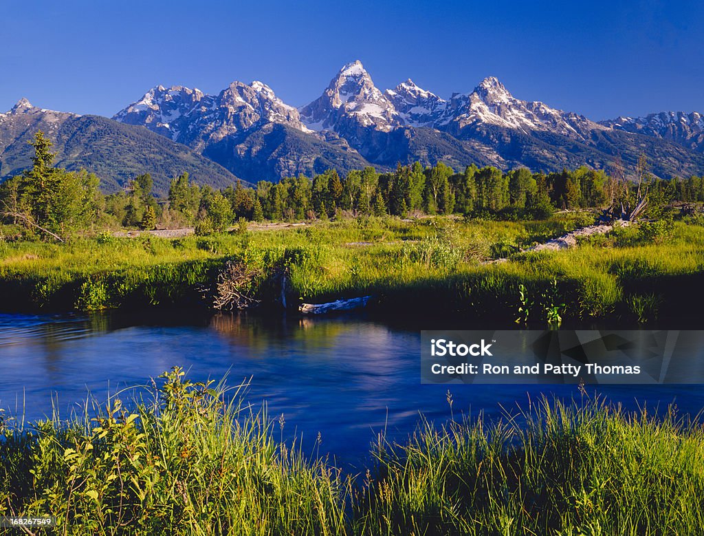 Parque nacional de Grand Teton (P - Foto de stock de Estanque libre de derechos