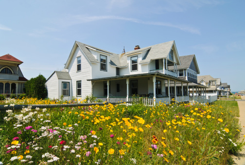 A profusion of wildflowers grow in a yard of a seaside cottage on Martha's Vineyard Island of Massachusetts