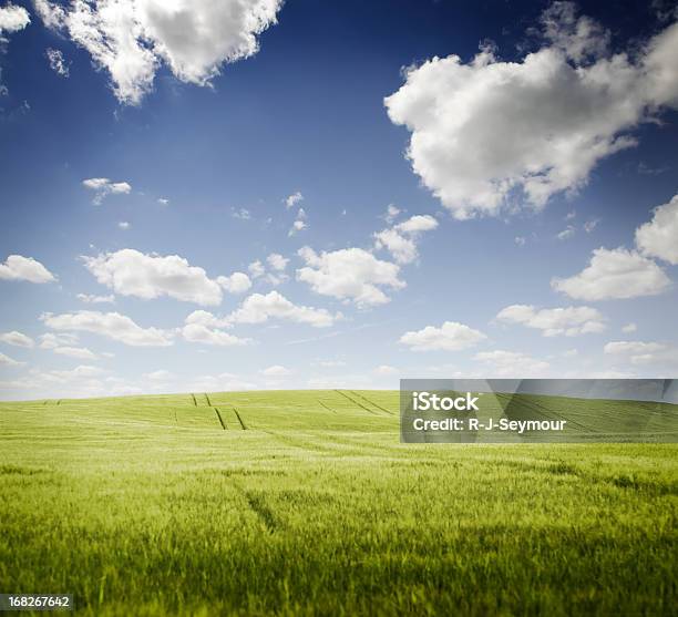 Rolling Sommer Landschaft Stockfoto und mehr Bilder von Wolke - Wolke, Agrarbetrieb, Anhöhe