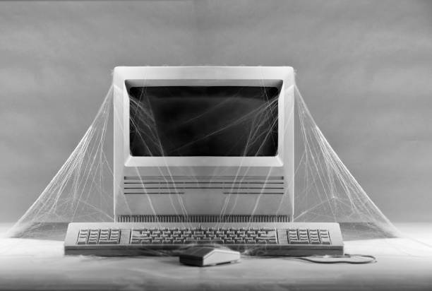 28,600+ Digital Spider Web Stock Photos, Pictures & Royalty-Free Images ...