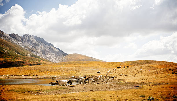 istock Campo Imperatore, grass field near mountain with cloudy sky 168267778
