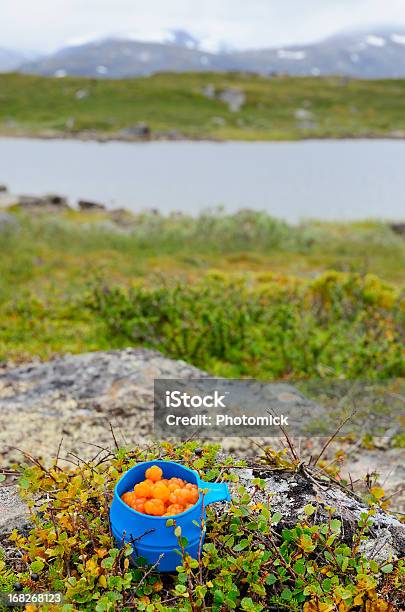 ブルーのマグに Cloudberries の北極の景色 - アウトフォーカスのストックフォトや画像を多数ご用意 - アウトフォーカス, オレンジ色, オーガニック