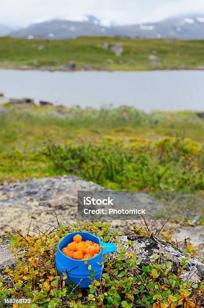 Azul Caneca Com Cloudberries Na Paisagem Do Ártico - Fotografias de stock e mais imagens de Alimentação Saudável - Alimentação Saudável, Antioxidante, Ao Ar Livre