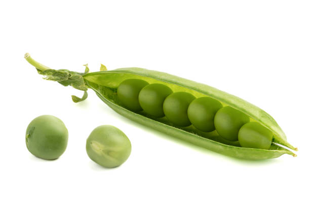 istock Ripe peas inside a pea pod and on a white background. 1682687892