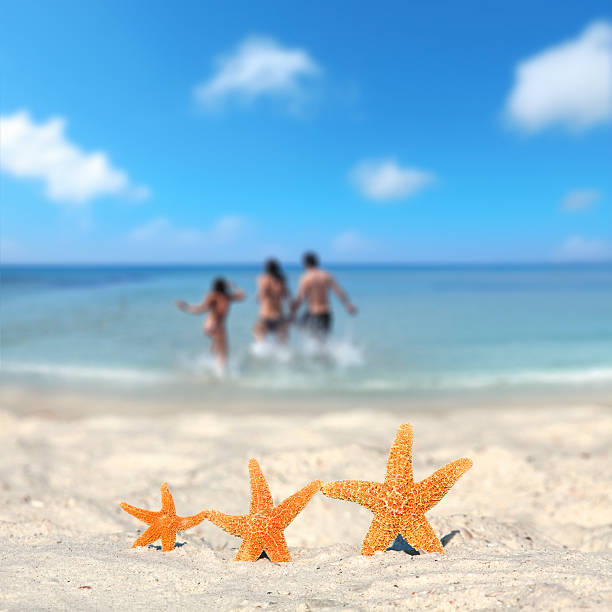 istock three starfish family vacation on beach 168268847