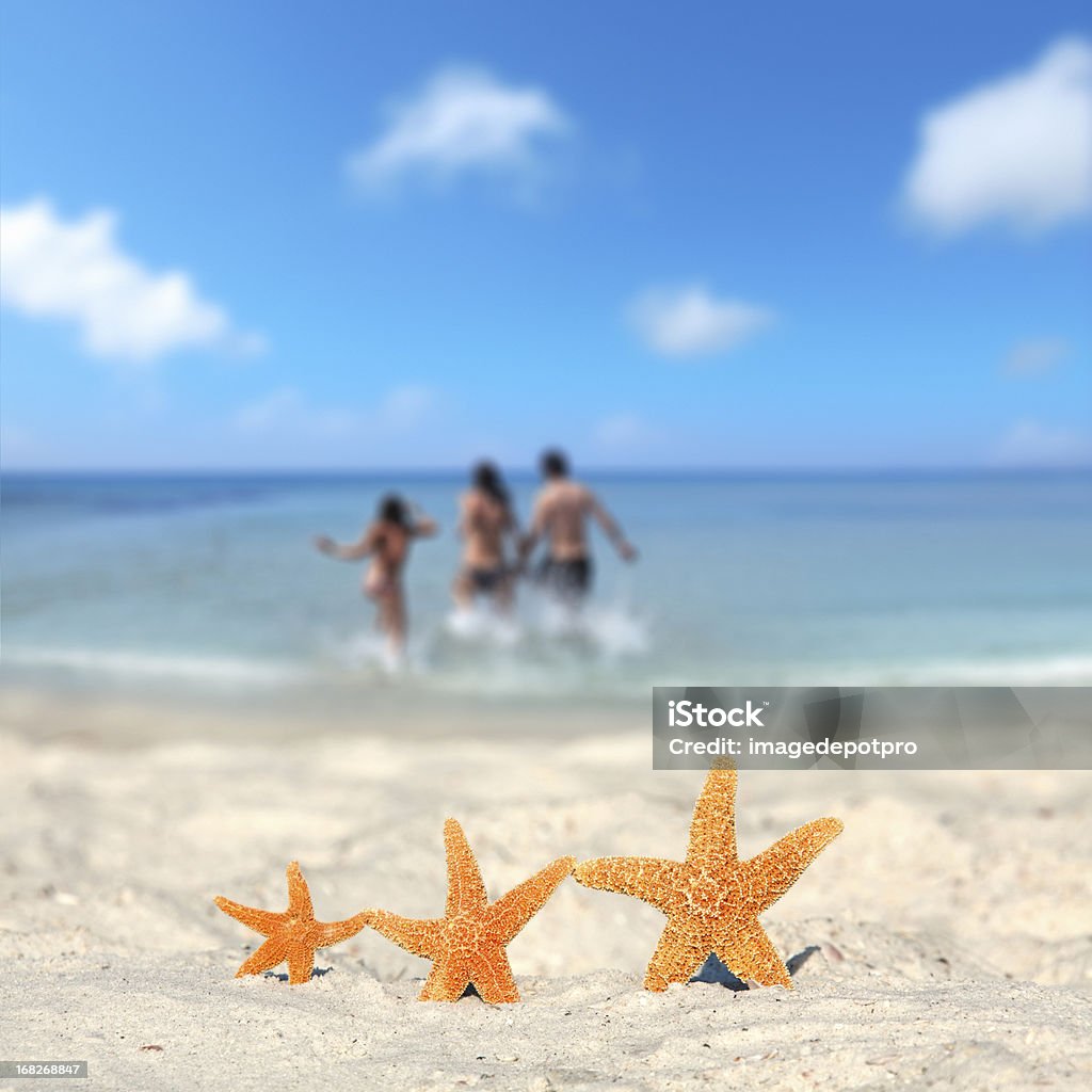 Três estrelas do mar na praia de férias em família - Foto de stock de Férias royalty-free