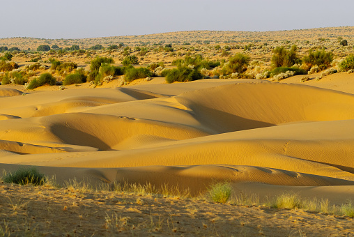 Thar desert near Jaisalmer, India