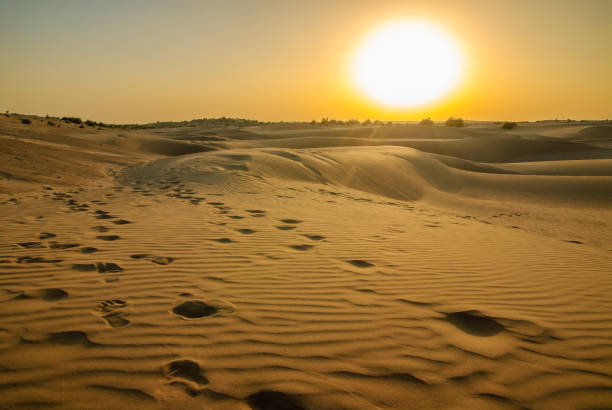 istock Thar desert in Rajasthan, India 1682689593
