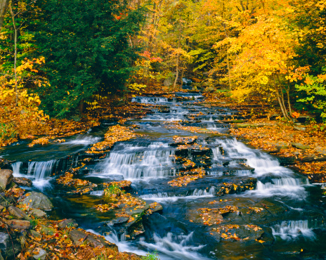 Cataract Creek cascade through the autumn forest of Connedticut