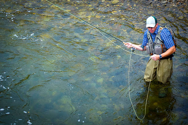 fishing man fly fishing in waders on a river.  such beautiful nature scenery and outdoor sports and recreation can be found on the arkansas river in salida, colorado.  horizontal composition with copy space on canyon wall and water. waist deep in water stock pictures, royalty-free photos & images