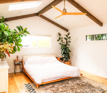 A modern extension to a house with a bright bedroom finished to a Scandinavian design, with a rug over the hardwood floor, and a wooden ceiling fan and houseplants.