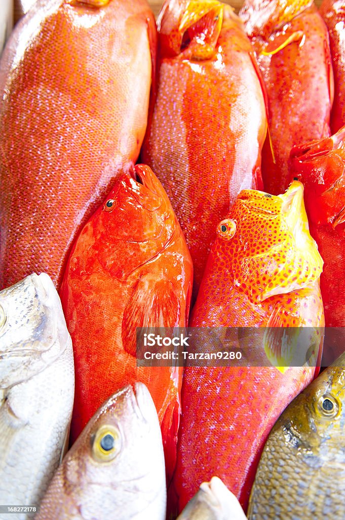 pattern of fish Africa Stock Photo