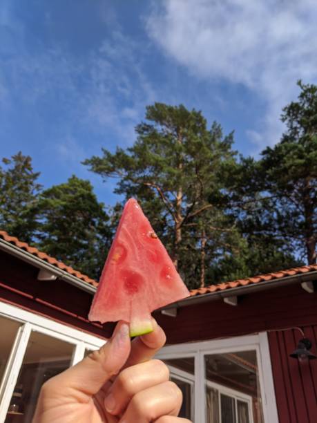 Enjoy late summer swedish days with watermelon in the hand.