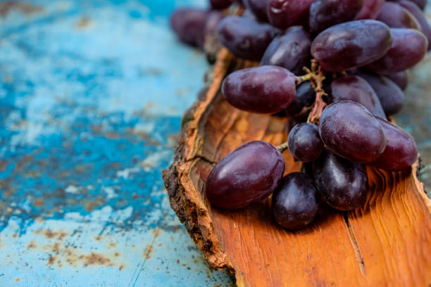 Purple grapes. Red bark. Metallic blue rusty surface. Copy space.
