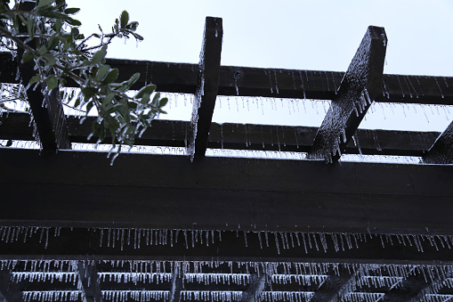 Look up at the pergola  covered with ice and icicle after rain in winter.